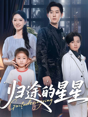 归途的星星（100集）海量资源免费看
