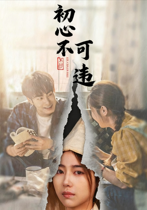 初心不可违（62集）热播短剧推荐