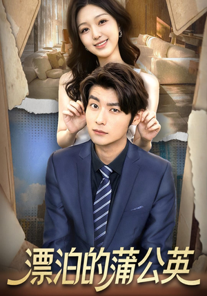 漂泊的蒲公英（60集）短剧解说全集