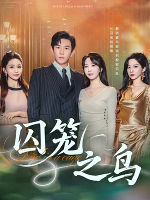 囚笼之鸟（52集）视频在线看