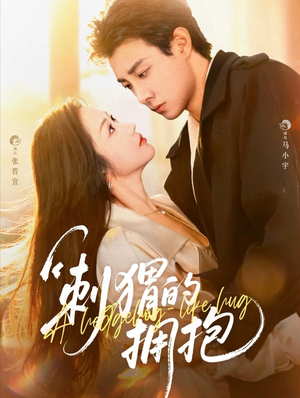 刺猬的拥抱（71集）爱上了这部剧了