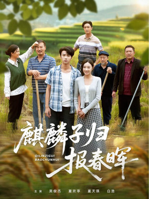麒麟子归报春晖（36集）新短剧推荐