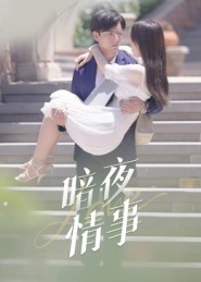 暗夜情事（100集）短剧太好看