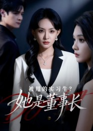 被甩的实习生?她是董事长!(59集) 被甩的实习生?她是董事长!(59集)网盘在线观看