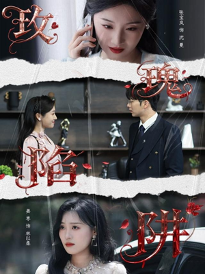 玫瑰陷阱（40集）短剧小说在线看