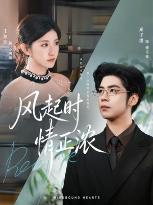 风起时情正浓（79集）正能量短剧分享