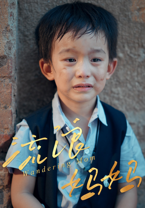 流浪妈妈（30集）短剧精彩绝伦