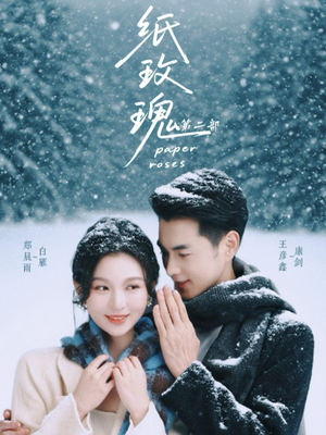 纸玫瑰第二部（80集）短剧热播推荐
