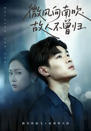 微风向南吹，故人不曾归（72集）全集我都看完了