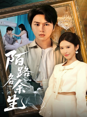 陌路各余生（65集）免费观看