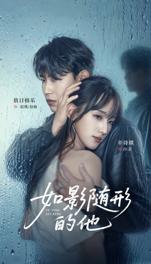 如影随形的他（30集）剧情简介