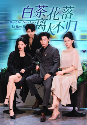 白茶花落离人（51集）免费观看全集