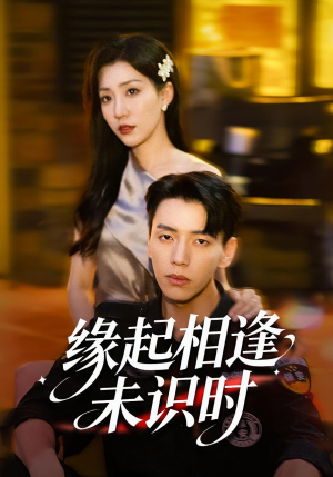 缘起相逢未识时（57集）80到100集