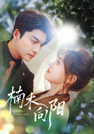 楠木向阳（70集）短剧小说在线看