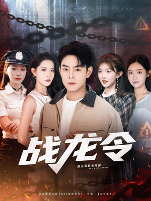 战龙令（76集）短剧热门推荐