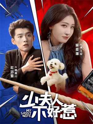 少夫人不好惹（61集）在线播放