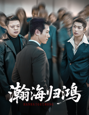 瀚海归鸿（74集）推荐你们也去看