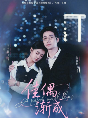 佳偶渐成（71集）全集免费