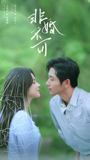 非婚不可（65集）短剧太精彩