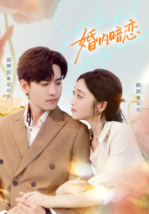 婚内暗恋（80集）免费短剧资源