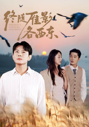 终随雁影各西东（86集）短剧太精彩了