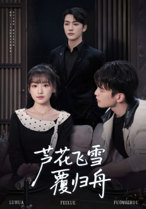 芦花飞雪覆归舟（77集）在线播放