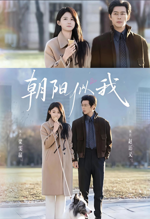 朝阳似我（81集）短剧解说全集