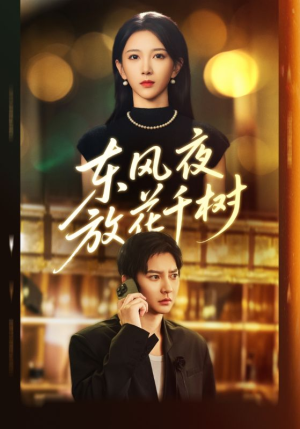 东风夜放花千树（91集）网上可以看吗