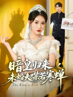 暗皇归来，未婚夫噤若寒蝉（65集）高质量短剧推荐