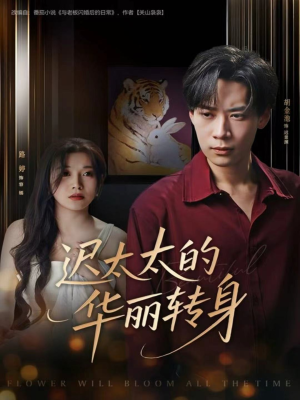 迟太太的华丽转身（80集）最火短剧热播