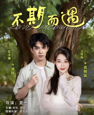 不期而遇（62集）短剧演员排行榜