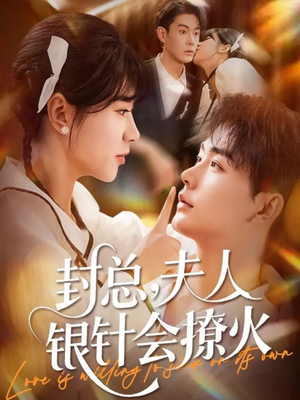 封总，夫人银针会撩火（69集）好看的短剧电影