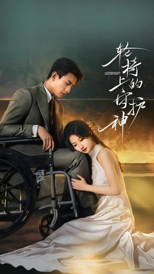轮椅上的守护神（25集）口碑爆棚免费看