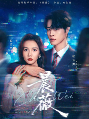 晨薇（61集）高清画质免费看