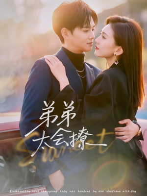 弟弟太会撩（81集）最火短剧推荐