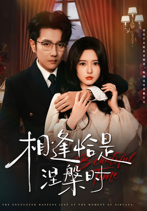 相逢恰是涅槃时（63集）无需会员免费看