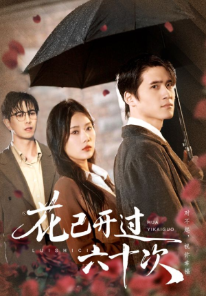 花已开过六十次（72集）最新上映免费看