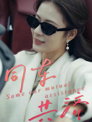 同车共济（39集）免费短剧资源