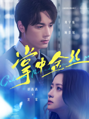 掌中金丝（60集）短剧精彩片段