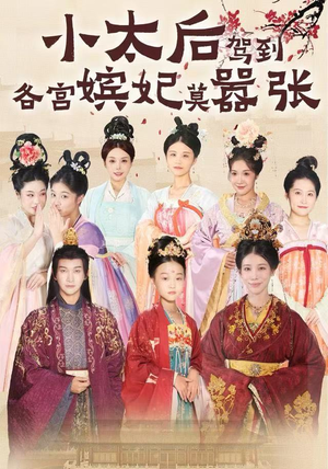 小太后驾到，各宫嫔妃莫嚣张（67集）精彩短剧下载