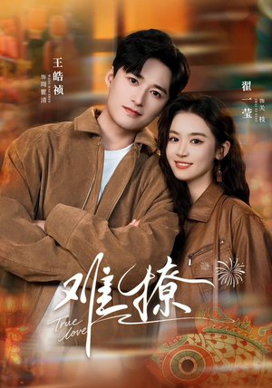 难撩（100集）温柔追捕短剧