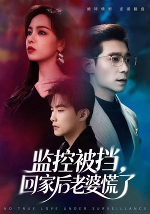 监控被挡，回家后老婆慌了（60集）我真的爱了