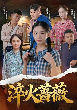 淬火蔷薇（50集）一起追生活短剧