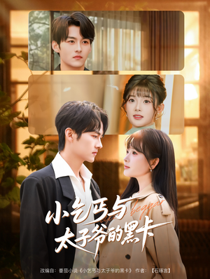 小乞丐与太子爷的黑卡（60集）解说文案