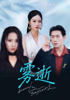 雾逝（30集）番茄免费短剧