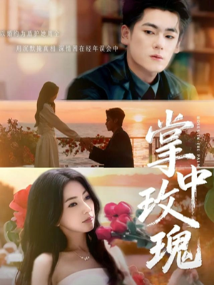 掌中玫瑰（60集）免费在线看