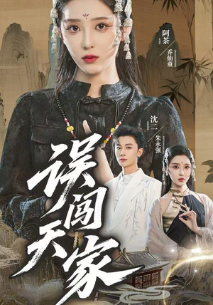 误闯天家（70集）在线免费观看