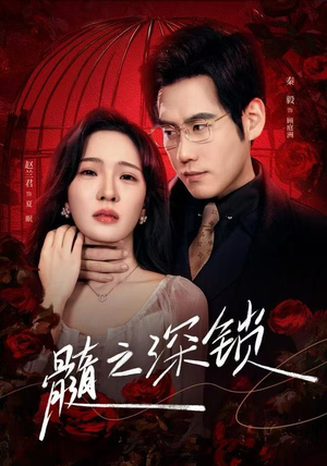 髓之深锁（84集）剧情简介
