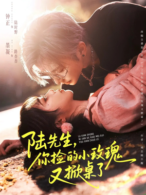 陆先生，你捡的小玫瑰又掀桌了（74集）短剧热门合集