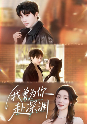 我曾为你赴深渊（63集）演的怎么样